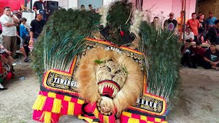 Keren Banget.!! Atraksi Dual SANGAR Barongan GALAK Reog Ponorogo GEMPARKAN Tunggur Magetan