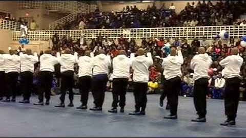 TSU 2k11 Phi Beta Sigma Probate