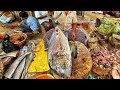 20 Kg MONSTER | BIG TREVALLY FISH CUTTING🔪| LEFT HAND CUTTING SKILL🔪| KF FISH CUTS