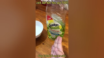 cách diệt kiến hiệu quả 100% tại nhà #meohay #shortvideo #shorts  #dietkien