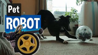 The Pet Robot - Overview