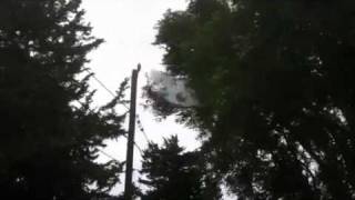 Burning branch on power line in Wellfleet