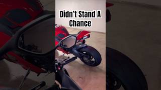 The Panigale V4 Just SILENCED a BMW S1000RR 🔥😳