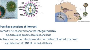 Webinar: Using RainDrop Digital PCR for Single Molecule mRNA, Viral RNA, and microRNA Counting