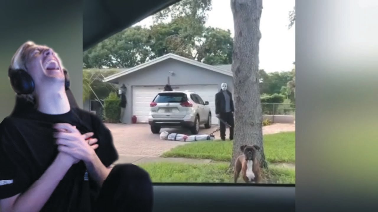 xQc reacts to ONLY IN FLORIDA #1 (with chat)