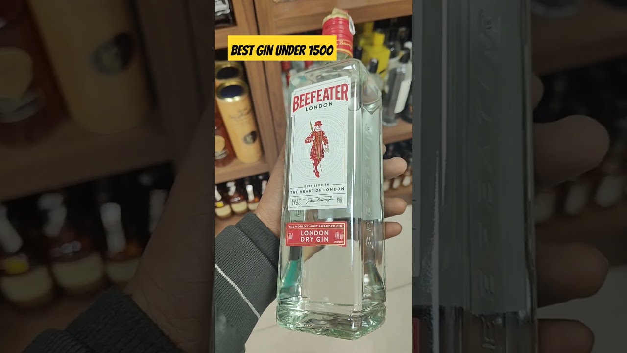 Best Gin under 1500 