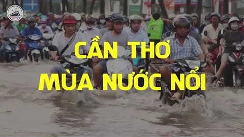 Cần Thơ thất thủ với triều cường - Hồng Đức Official