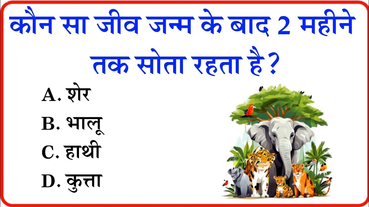 Top 20 General Knowledge Questions Everyone Should Know | ark gk video