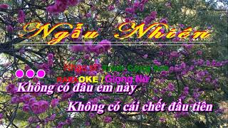 Ngẫu Nhiên  / Trịnh Công Sơn - Karaoke / Giọng Nữ (cho Bạn)