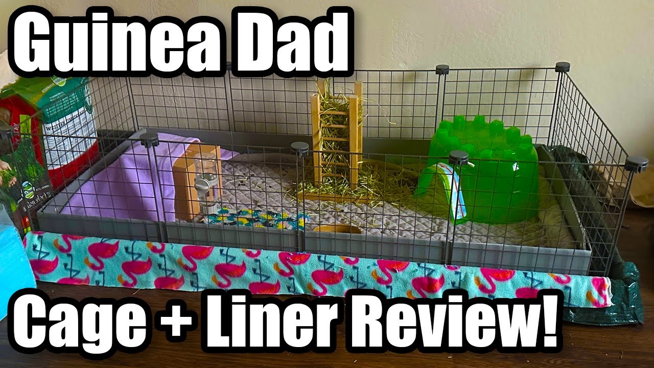 Guinea Dad 2x4 Cage and Liner Unboxing, Review and Meet the Piggies!