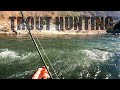 Exploring new waters hunting trout  free form fly fisher