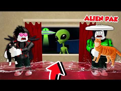 ENDING BARU 7 HARI JAGA KUCING PALING NGAKAK DI ROBLOX!!!