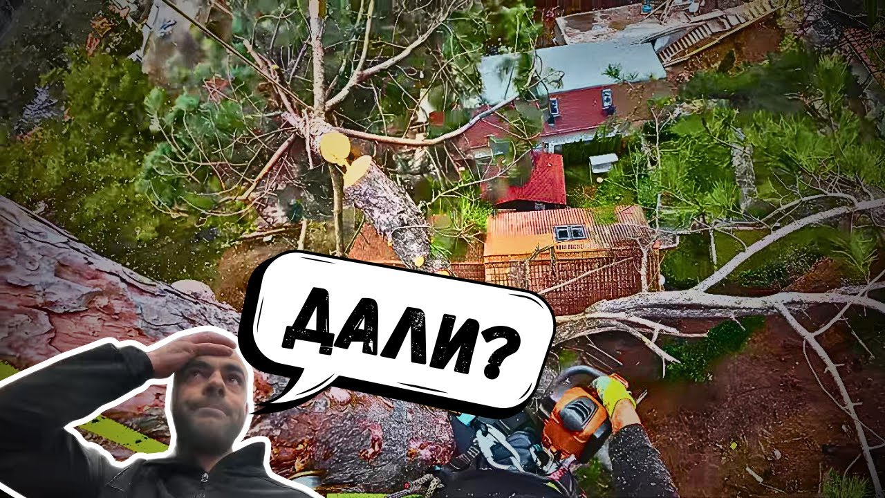 Силният вятър НИ донесе ИЗНЕНАДИ...