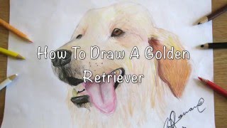 Drawing by: jovana shrestha did this help you? you try to draw a
golden retriever using video? i'd love see it! post it on instagram
and tag me i...