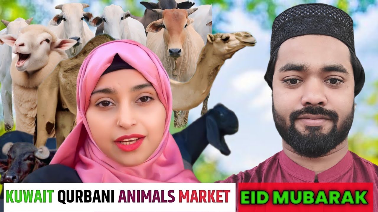 Kuwait Mai Qurbani कैसे होते हैं!! Kuwait Animals Market Eid Mubarak 🌙