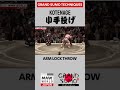 #Sumo Technique: KOTENAGE