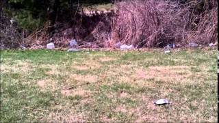 Litter: An Inconvenient Problem