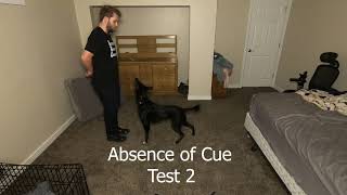 Stimulus Control Test with Transport - Sit vs Down (Visual Cues)