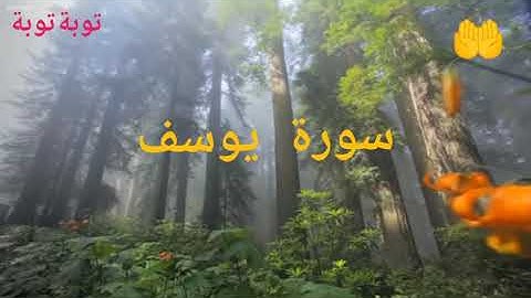 سورة يوسف بصوت رائع ومريح للقلب #