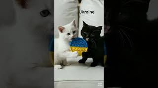 White And Black Aicat Flags Part-10