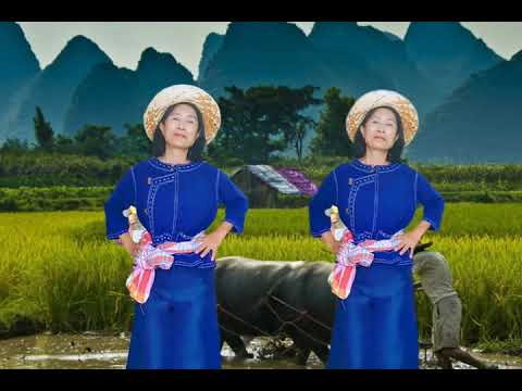 เพลงหมู่ชาวนา