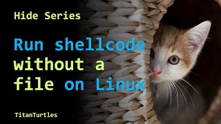 Hide Series: Run shellcode without file on Linux