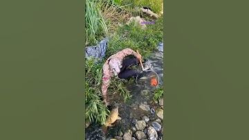 Cá Lớn - nằm ngủ cũng có cá Chép Khủng để ăn 😱 #khacthuyvlogg