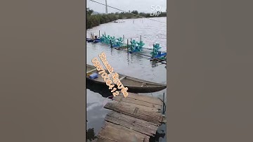 Motor giảm tốc 1.5kw chạy 12 cánh cho hồ tôm, khách ưng ý gửi video cho ae tham khảo☎️:0987008412