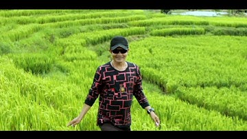 Pesona Alam I Nuansa Sawah (Official Music Video)