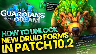 How to UNLOCK ALL NEW Druid Forms in Patch 10.2 │ Gurdians of the Dream Druid Guide screenshot 3