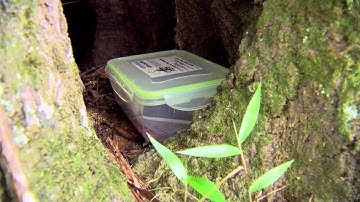 Geocaching: advanced interactive treasure hunting