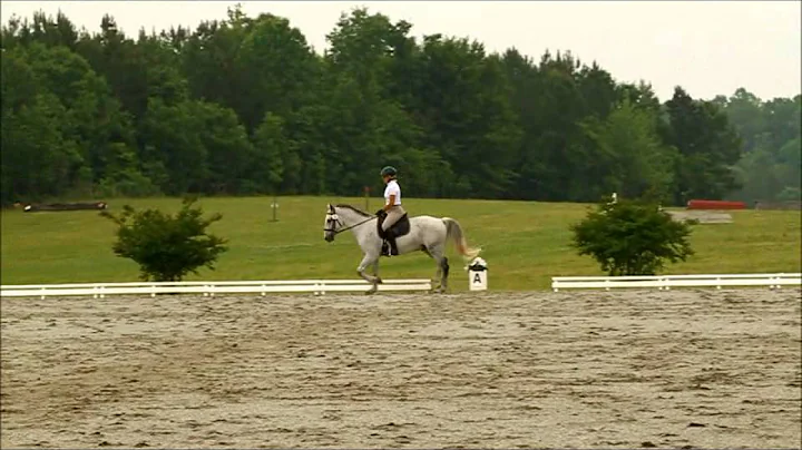 Deborah Hollis Training 1