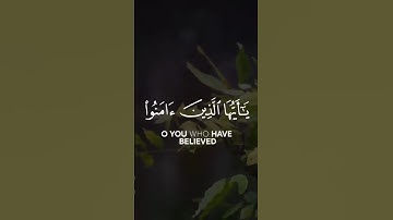 #عبدالله_الموسى #القرآن_الكريم #تلاوات #تلاوة_خاشعة #ستوريات_انستا #حالات_واتس #اكسبلور #لايك