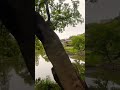 #荒井由美 #晩夏 #ひとりの季節