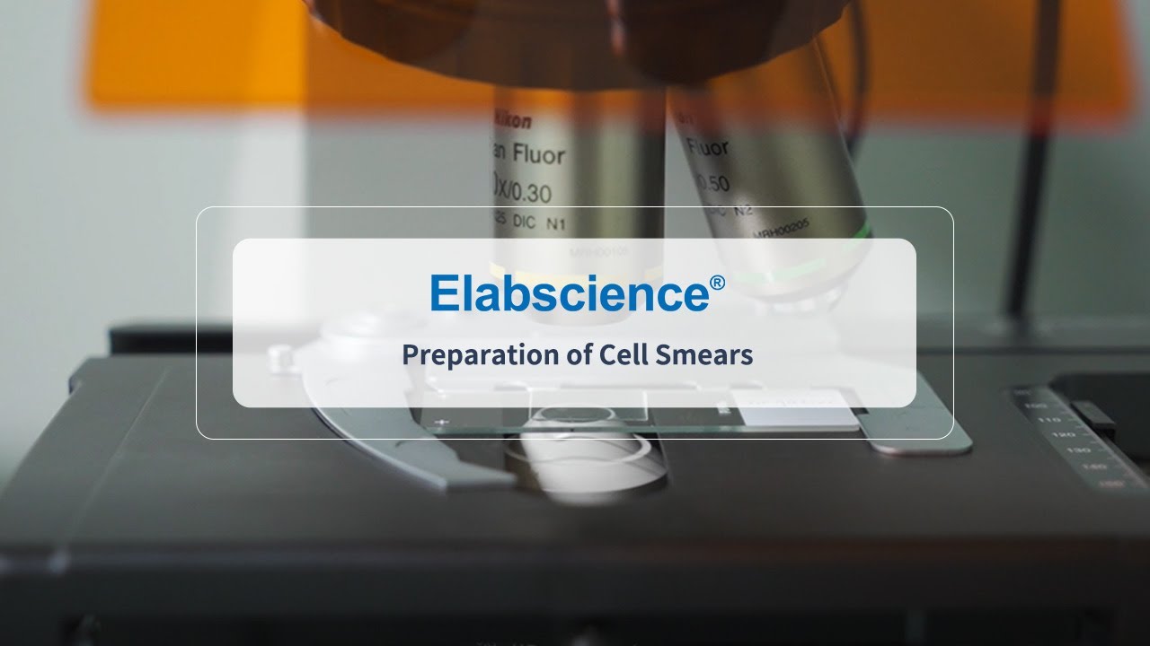 Preparation of Cell Smears