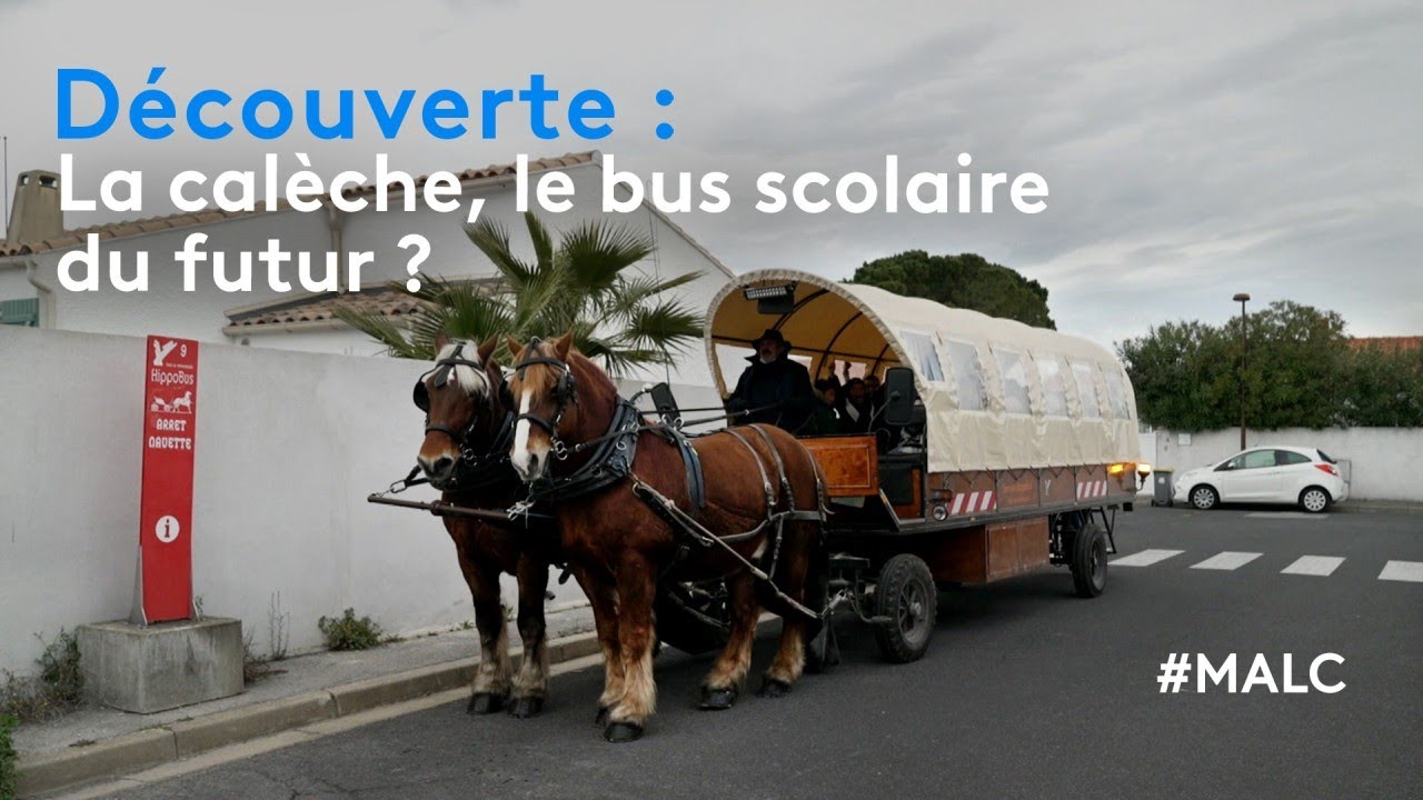 Découverte : la calèche, le bus scolaire du futur ?