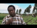 Bincike Kan Kayan Abinci A Kenya