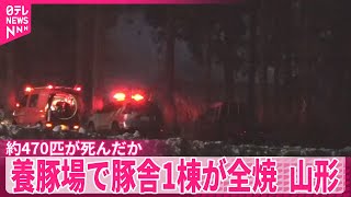 【養豚場】豚舎1棟が全焼　約470匹が死んだか　山形・酒田市