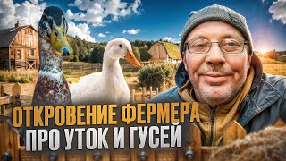 :   -  !    : , ,  #