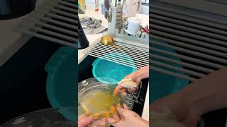 Download Lagu It's her favorite MP3