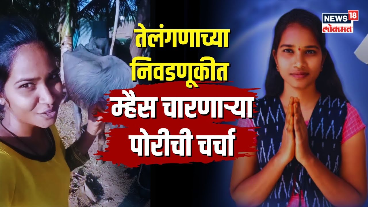 तेलंगणा निवडणूकीत म्हैस चारणाऱ्या पोरीचा डंका, 1500 रूपयांवर KCR-राहुल गांधींना टक्कर | N18V