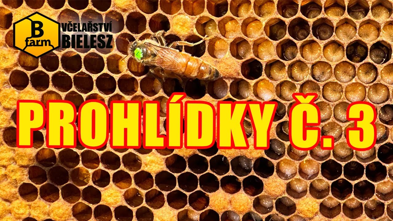 Prohlídky č. 3 duben 2025