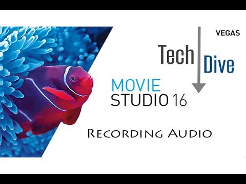 Movie Studio 16