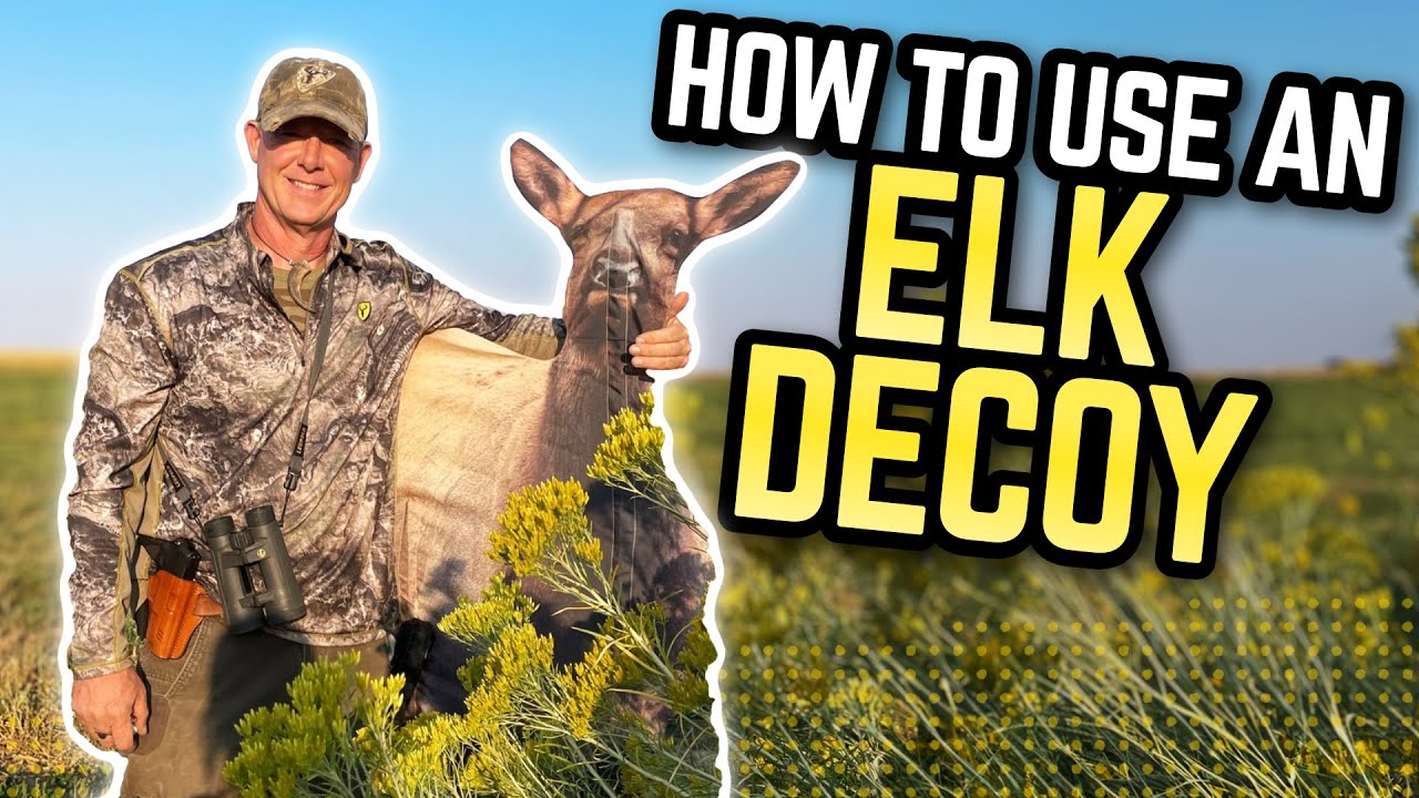 How to use an Elk Decoy with Fred Eichler YouTube