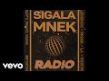 Sigala, MNEK - Radio (Vertical Visualiser)