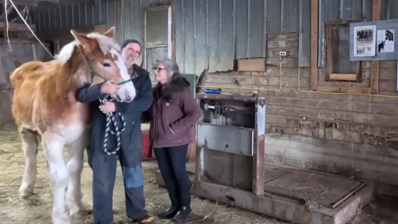 How much have Liberty & Belle Grown?!!!! #892