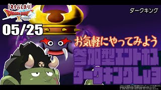 【DQX参加型】エンドボスチャレンジ／ダークキング編【Lv3】