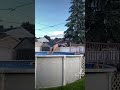 Shorts ولا عندك زهر انا سموني ولد لبحر انتي متخلعنيش انا كابر في لاكورنيش Jabtli Jah Shorts ولا عندك زهر انا سموني ولد لبحر انتي متخلعنيش انا كابر في لاكورنيش Jabtli Jah