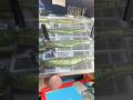 Bluegill recipe #baitmaking #fishinglure #fish #diy #smallbusiness