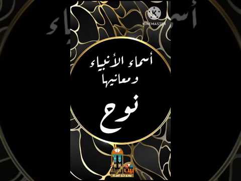 نوح معنى اسم نبى الله نوح أسماء الأنبياء ومعانيها اكسبلور ترند تيك توك أسماء أولاد